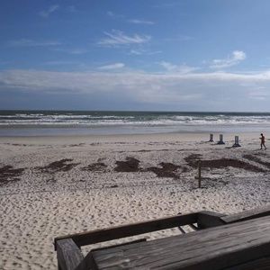 Meet your Posher, Lynne